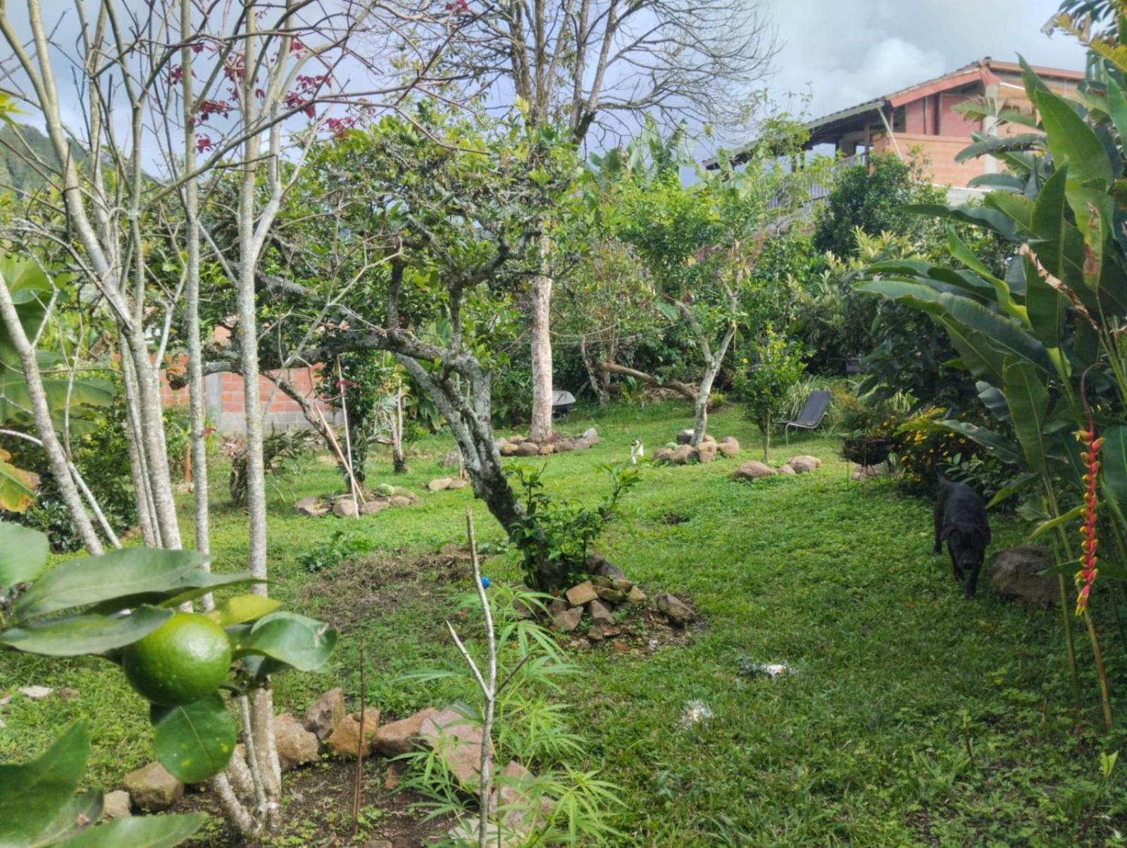 Luzart Ξενοδοχείο Jardín Εξωτερικό φωτογραφία