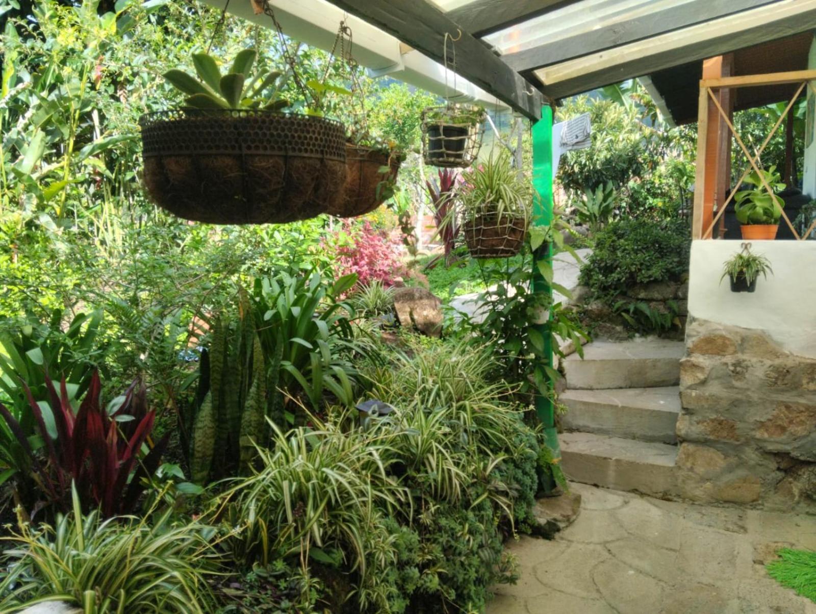 Luzart Ξενοδοχείο Jardín Εξωτερικό φωτογραφία